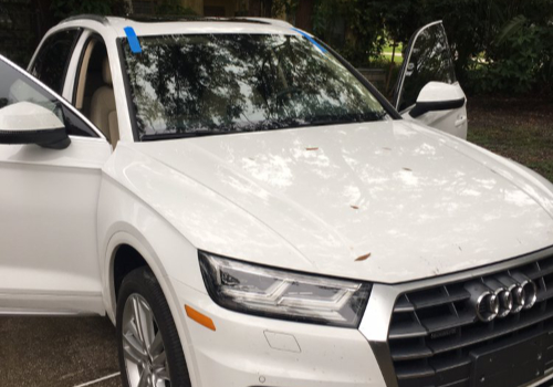 Mobile Windshield Replacement Near Palm Harbor Florida